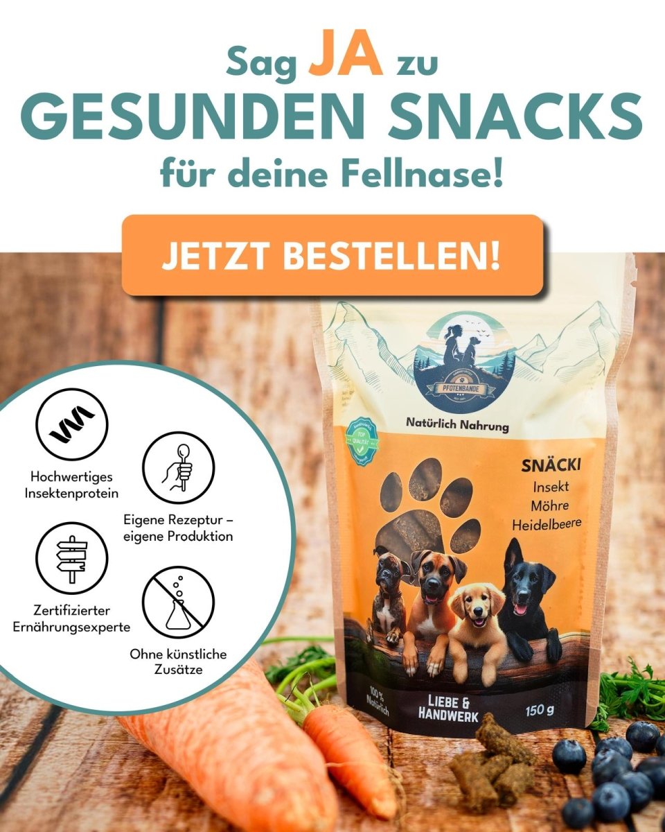 Snäcki - Möhre, Heidelbeere - Pfotenbande