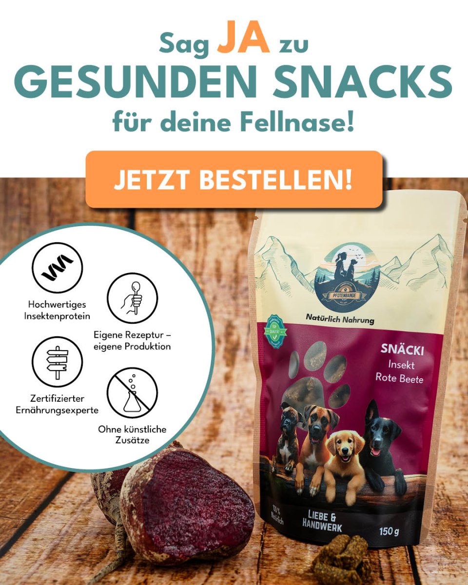 Snäcki - Rote Beete - Pfotenbande