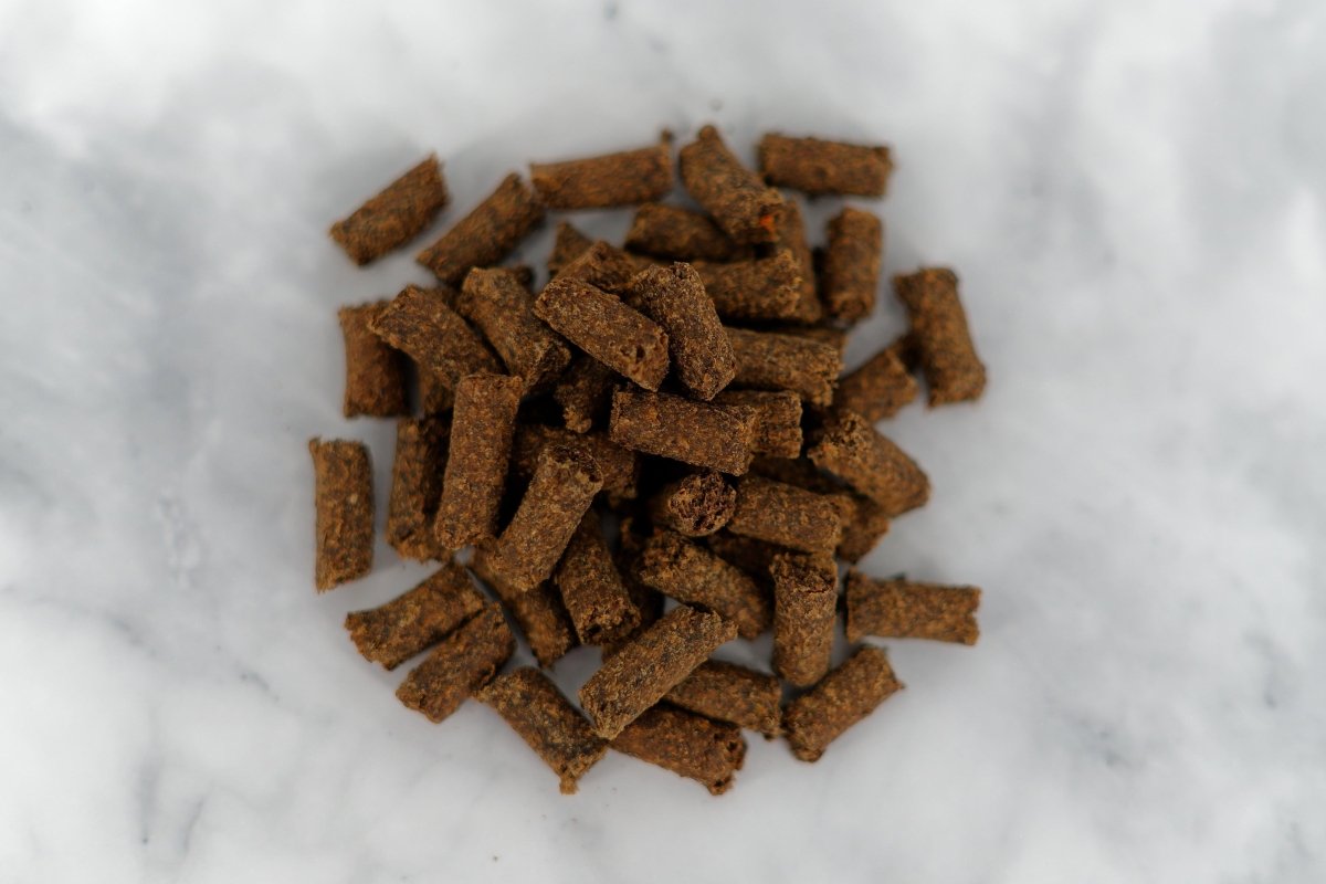 Snäcki - Rote Beete - Pfotenbande