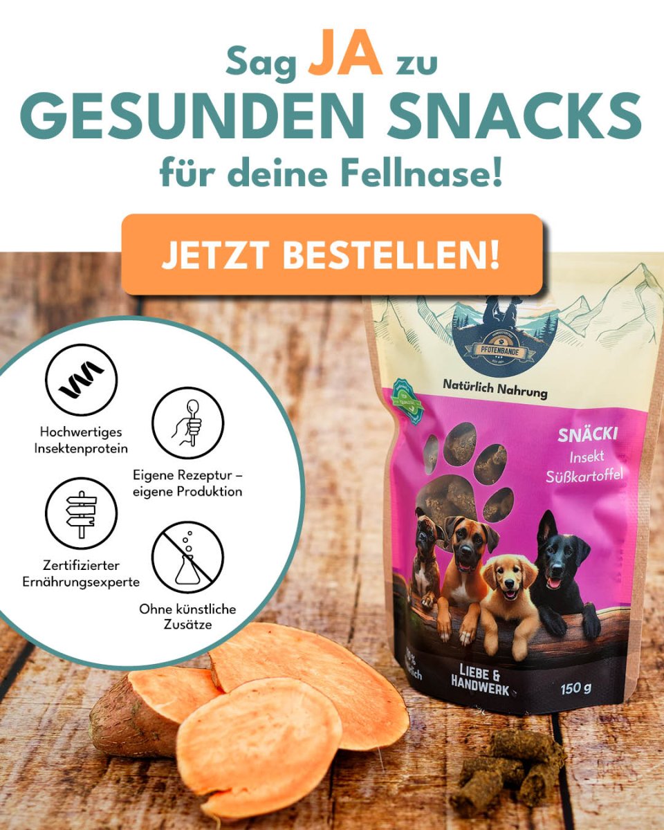 Snäcki - Süßkartoffel - Pfotenbande